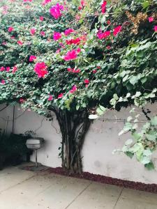 a bush of pink flowers on a wall at Bright Apartment Close to the Beach & City Center in Praia