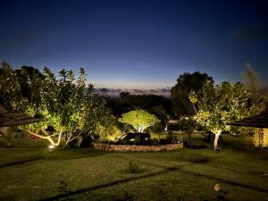 a garden at night with trees and lights at Kohinor maison d'hôtes 