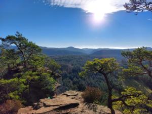a view from the top of a mountain with trees at Neugärten in Busenberg