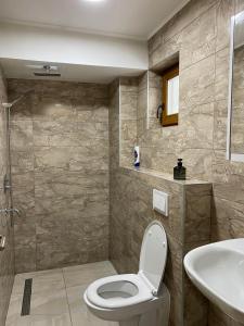 ein Bad mit einem WC und einem Waschbecken in der Unterkunft Apartman Green in Šišava