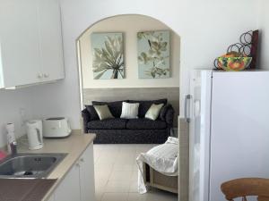 eine Küche mit einem Wohnzimmer mit einem Sofa in der Unterkunft La Casita in Pau