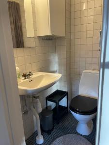 Small house Uppsala في أوبسالا: حمام مع حوض ومرحاض