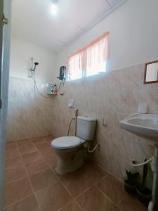 a bathroom with a toilet and a sink at De'Manda Homestay in Sandakan