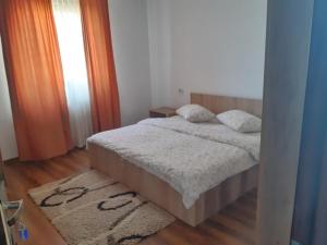 um quarto com uma cama, uma janela e um tapete em Casa Tisa em Oradea