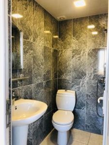 麥肯喬利的住宿－BIS-A Guesthouse，一间带卫生间和水槽的浴室