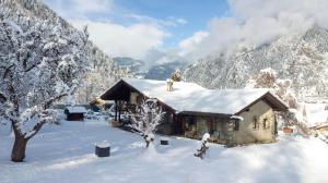 Chalet Falcon - Luxury Swiss Retreat with Hot-Tub v zimě