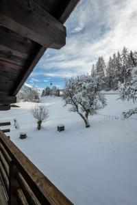 Chalet Falcon - Luxury Swiss Retreat with Hot-Tub v zimě