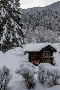 Chalet Falcon - Luxury Swiss Retreat with Hot-Tub v zimě