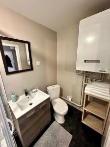 La salle de bains est pourvue de toilettes blanches et d'un lavabo. dans l'établissement Artist's Home - 65 m2 spacieux & confortable, à Châlons-en-Champagne
