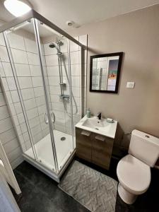 een badkamer met een douche, een toilet en een wastafel bij Artist's Home - 65 m2 spacieux & confortable in Châlons-en-Champagne