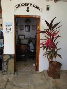 a person sitting in a chair in a room with a plant at Simba Apartments in Diani Beach