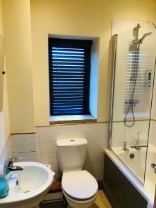 a bathroom with a toilet and a sink and a shower at Canons Court Mews in Wotton under Edge +78 photos