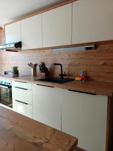 Kuchyň nebo kuchyňský kout v ubytování Ferienwohnung Lemberger