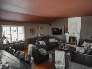 Tväråstugan في آرا: غرفة معيشة مع أثاث من الجلد ومدفأة