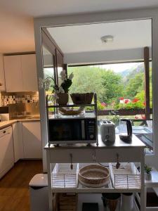 a kitchen with a microwave on a shelf with a window at Entre Neige et Thermes in Brides-les-Bains