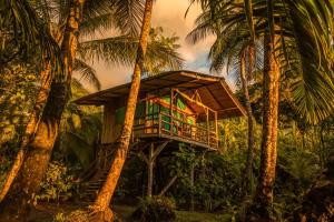 a tree house in the middle of two palm trees at Ocean Forest Ecolodge in San Pedrillo