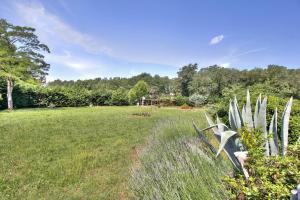 Vonkajšia záhrada v ubytovaní Apartment Branka - Monterol