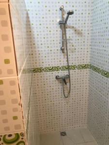 y baño con ducha y pared de cristal. en Appartement T1, en Saint-Laurent-du-Maroni