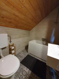 a bathroom with a toilet and a bath tub at Holiday Home Nada in Partizanska Drežnica