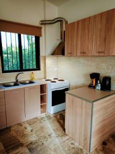 a kitchen with a white stove and a sink at Marietta's Apartments in Agios Andreas