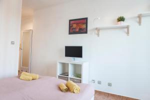 a bedroom with two beds and a tv on the wall at Tony's Sunny Rooftop Studio in Sofia
