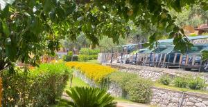 ein Zug, der die Gleise in einem Garten entlangfährt in der Unterkunft Villaggio Turistico La Fenosa in Marina di Camerota
