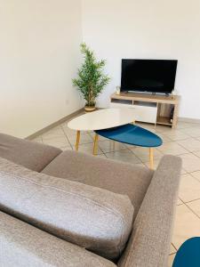 sala de estar con sofá, mesa y TV en Appartement moderne près de Toulouse en Fonsorbes