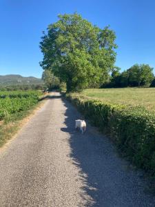 Príroda v okolí penziónu