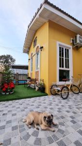 Fotografie z fotogalerie ubytování บ้านสามหมา pool villa เขาใหญ่ v destinaci Ban Pang Asok