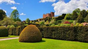 a large bush in a garden with a castle in the background at Odli Glamping - Luxury Glamping Pod in Welshpool