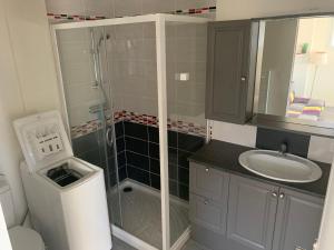 a small bathroom with a shower and a sink at Les Gîtes de la Colo in Ravenoville +35 photos