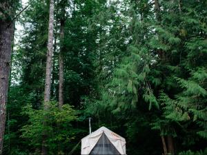 a tent in the middle of a forest of trees at Tentrr Signature Site - Cascade Rose Alpaca Farm Stay in Carnation