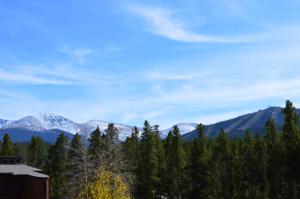 Příroda nedaleko prázdninového domu