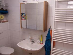 a bathroom with a sink and a toilet and a mirror at Landhaus Jasmin - Apartment Untergeschoß in Bad Mitterndorf