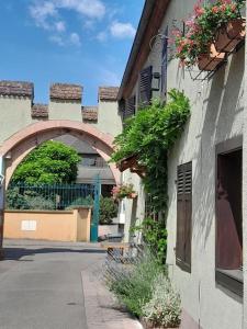 um edifício com plantas ao lado de uma rua em Gîte Le3 Bergheim em Bergheim