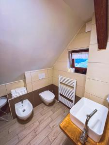 ein Bad mit einem Waschbecken und einem WC in der Unterkunft Eco tourist farm Mikl in Prevalje
