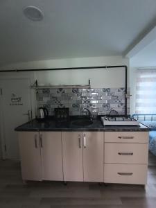 a kitchen with a stove and a counter top at Deeps Hostel Ankara 2 in Ankara