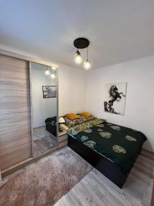 een slaapkamer met een groot bed en een spiegel bij MK Apartament II in Rzeszów