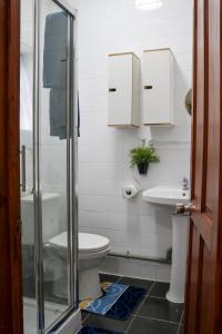 ein Bad mit einem WC und einem Waschbecken in der Unterkunft AJB INTERNATIONAL LTD in London