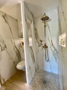 a bathroom with a shower and a toilet at Majoliebriarde B&B - Chambre d hôtes proche Disneyland et Paris in Saint-Germain-sur-Morin