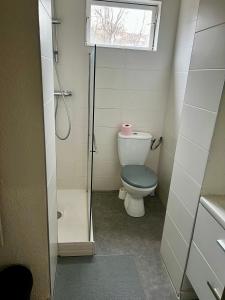 a small bathroom with a toilet and a window at Appartements Rue des Jardins in Perpignan