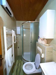 a small bathroom with a toilet and a shower at Apartman Staza in Jahorina