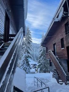 a snow covered stairway to a building with trees at Apartman Staza in Jahorina
