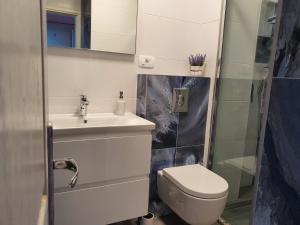 a bathroom with a toilet and a sink and a shower at Apartments Kocak in Blace