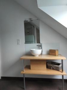 ein Badezimmer mit einem Waschbecken und einem Spiegel auf einem Regal in der Unterkunft St Germain in Saint-Germain-du-Corbéis