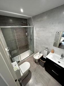 uma casa de banho com um WC, um lavatório e um chuveiro em Apartamento - Riba De Sella em Ribadesella