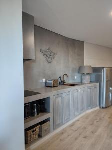 uma cozinha com um lavatório e um frigorífico em Raízes Turismo Rural em Castelo Branco