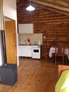a kitchen in a log cabin with a stove at ALIWWE in Uspallata