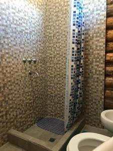 a bathroom with a shower with a toilet and a sink at ALIWWE in Uspallata