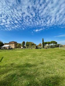 un champ d'herbe avec un ciel bleu et des nuages dans l'établissement Agriturismo La Colmata, à Cesa